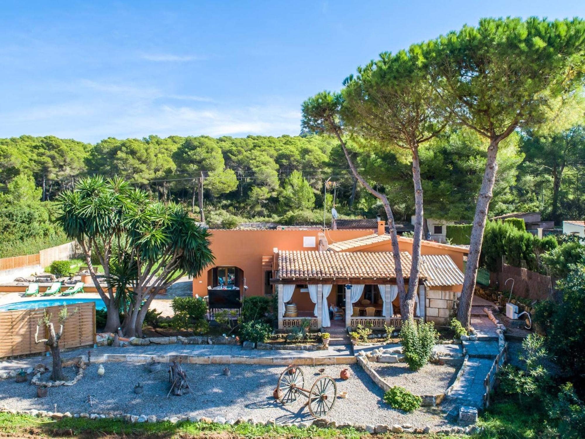In Cala Mesquida